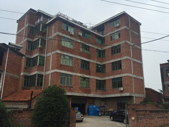 factory building of turtle light supplier