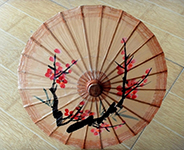 Chinese Paper Umbrella