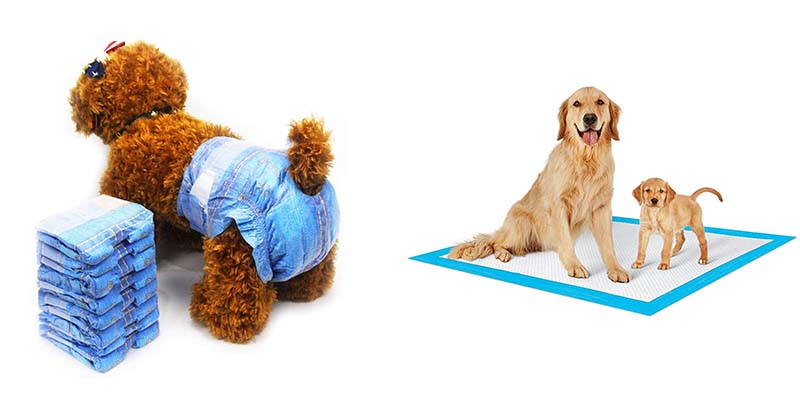 pet diaper pet pad