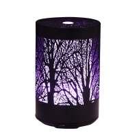 100 ml Cool mist aromatherapy oil diffuser metal essential oil diffuser