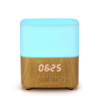 300ml Essential Oil Diffuser With Speaker