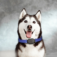 pet supplies-9a10a16