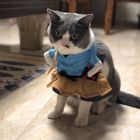 pet supplies-9a10a18