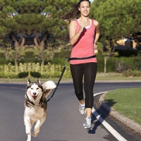 pet supplies-9a10a21