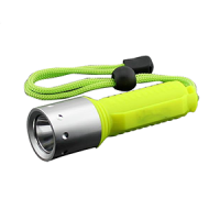 flashlight-9b19a30