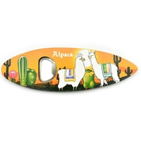 bottle opener-9c02b27