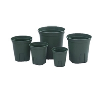 plant pot-15