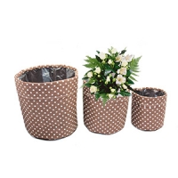 plant pot-22