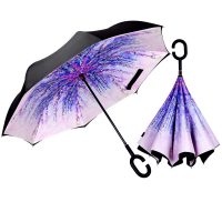 Inverted umbrella