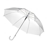 Clear umbrella