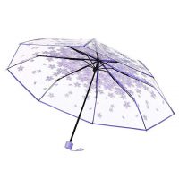 Clear umbrella