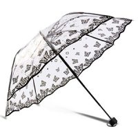 Clear umbrella