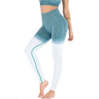 Fitness Legging
