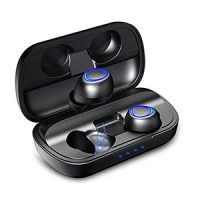 Wireless In-Ear Earbuds