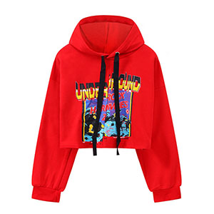 19HS46 Cropped Hoodie