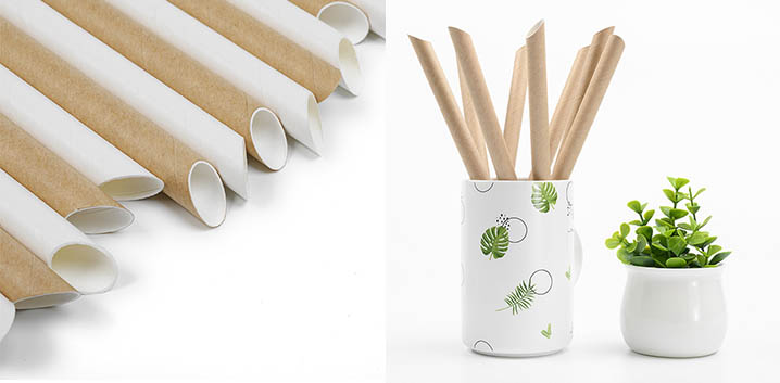 bevelled paper straw