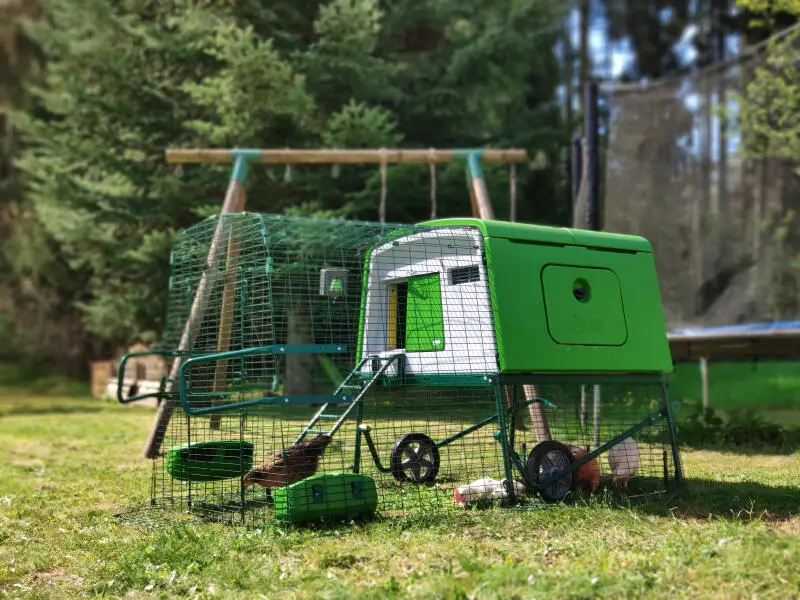 innovative chicken coop