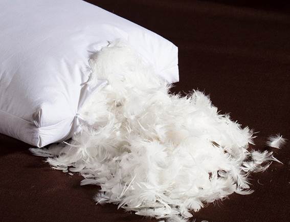 https://jingsourcing.com/wp-content/uploads/2021/06/image009-Feather-Pillow-Stuffing.jpg