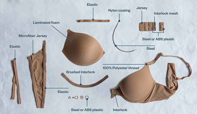 Different Parts of a Bra/Brassiere