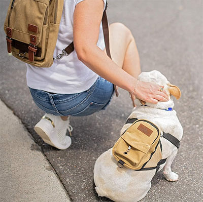 Matching Dog Backpack and Human Backpack Set