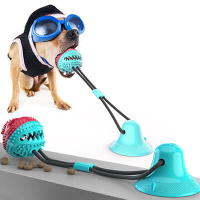 suction cup interactive dog toys