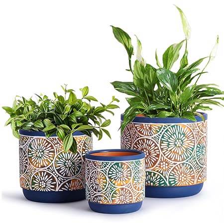 plant-pots