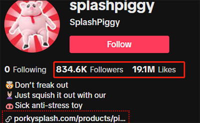 porkysplash account on TikTok