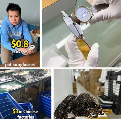 china fashion sunglasses supplier