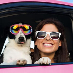pet sunglasses 2
