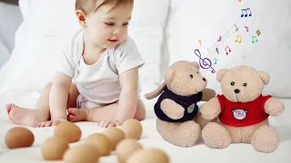 نموذج فيديو رقم 6 $250