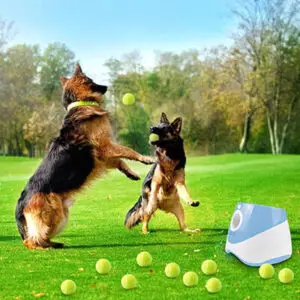 Dog Automatic Ball Launcher-1