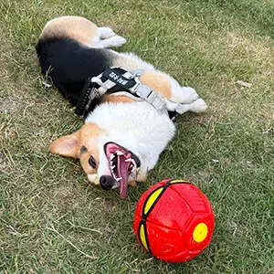 Magic UFO Ball