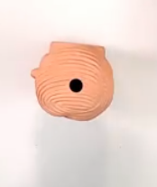 trump planter top vision