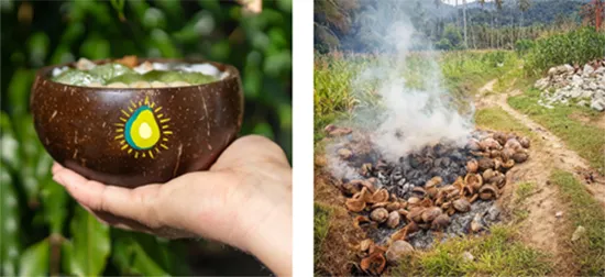 Coconut Bowls