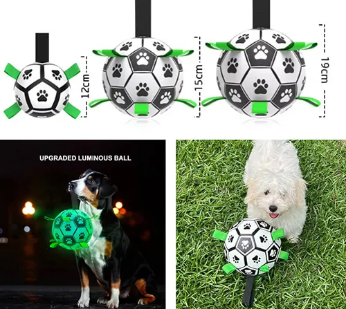 Glow in the dark dog toy