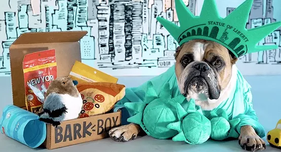 toys and traets in a Barkbox