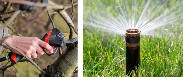 Herramientas de jardinería inteligentes