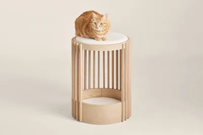 Muebles Tuft + Paw