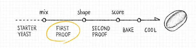 Sourdough bread making process