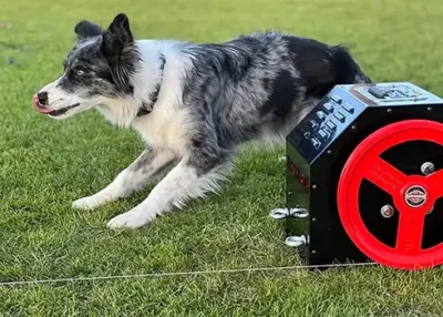 lure coursing machine