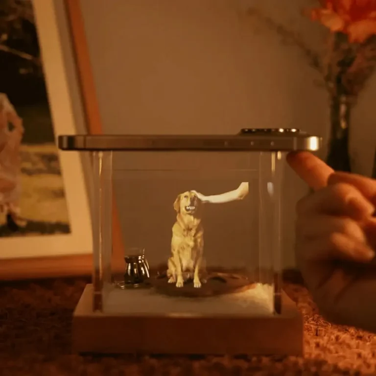 Pet Memorial Box product demo