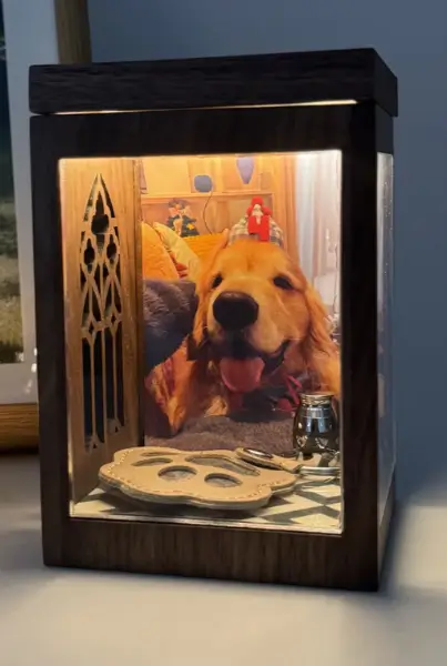 Pet Memorial Box with Mini Urn and Keepsake Accessories