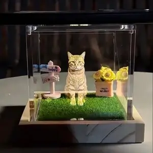 Pet Memorial Box with Miniature Garden Accessories