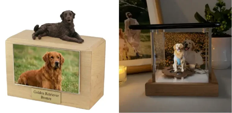 tradition pet urn vs Pet Memorial Box