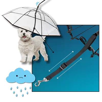 Dog Walking Umbrella