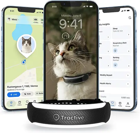 Smart Cat Collar Product