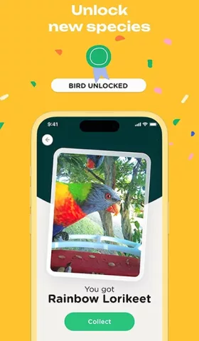 Bird Buddy unlock bird species game