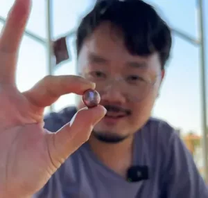 Perle Edison Perle Edison