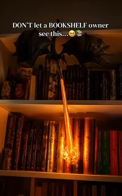 dragon book nook
