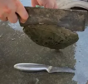 ouvrir l'huître ouvrir l'huître